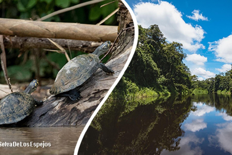 Dia inteiro na Reserva Pacaya Samiria | Vida selvagem