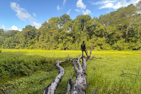 Golfinhos cor-de-rosa, 3 dias 2 noites pacaya samiriaPacaya samiria - golfinhos cor-de-rosa - 3 dias natureza