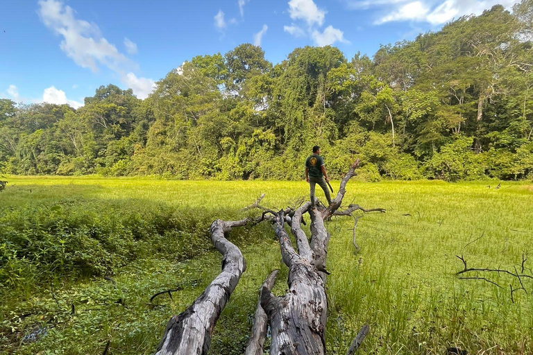 Golfinhos cor-de-rosa, 3 dias 2 noites pacaya samiria