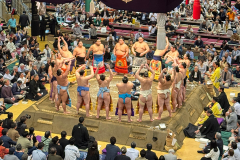 Tokyo: Sumo Tournament with Guide & Assigned Reserved Seat Reserved Seat in Zone B