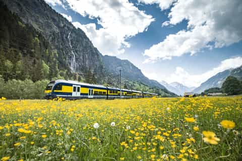 Jungfraujoch: Roundtrip to the Top of Europe by Train
