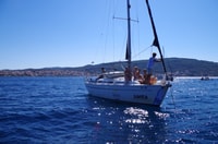 Von Zadar, Privater Halbtages-Segelausflug - Hizvo