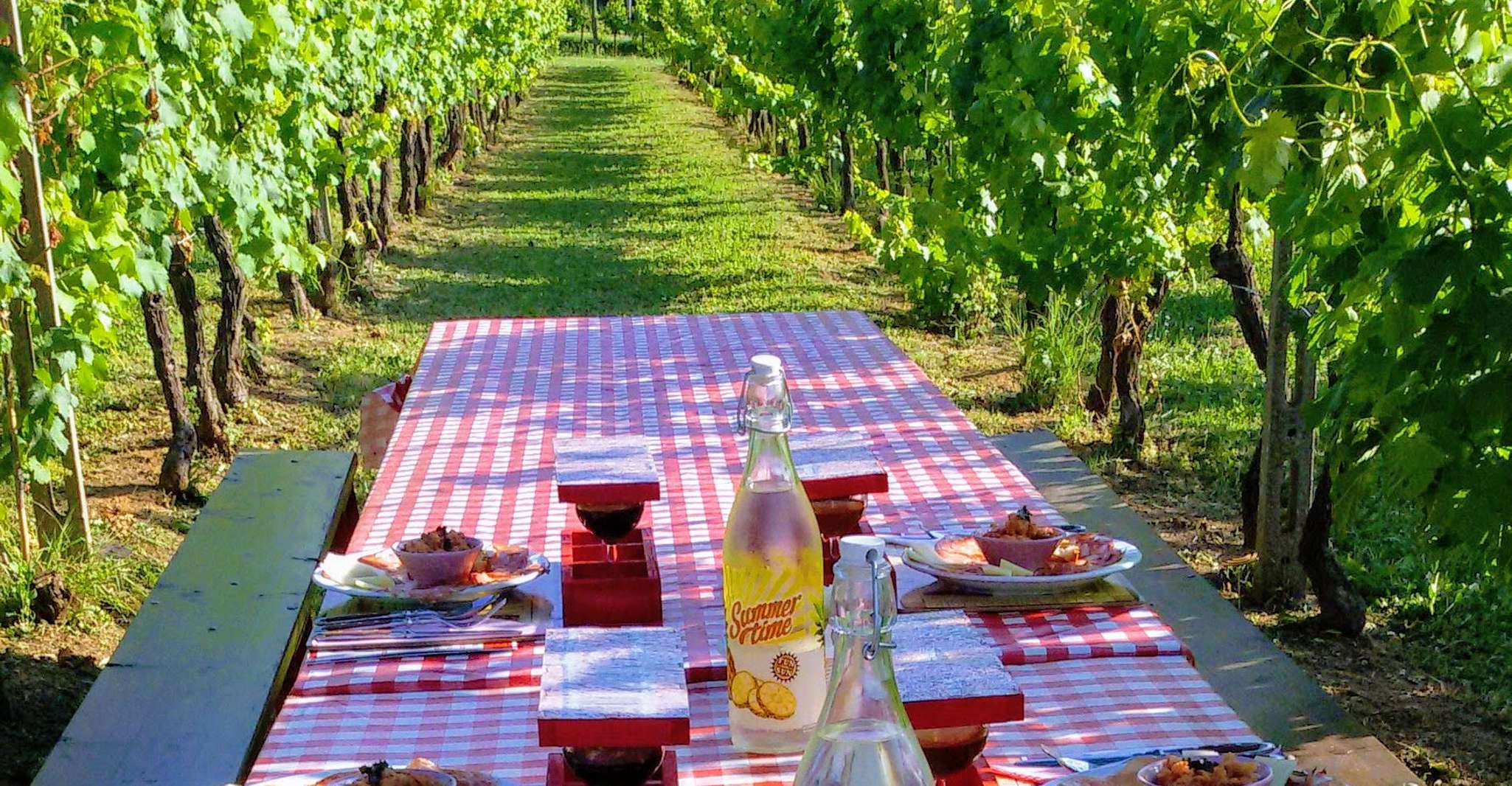 Lucca, geführte E-Bike und Weintour - Hizvo