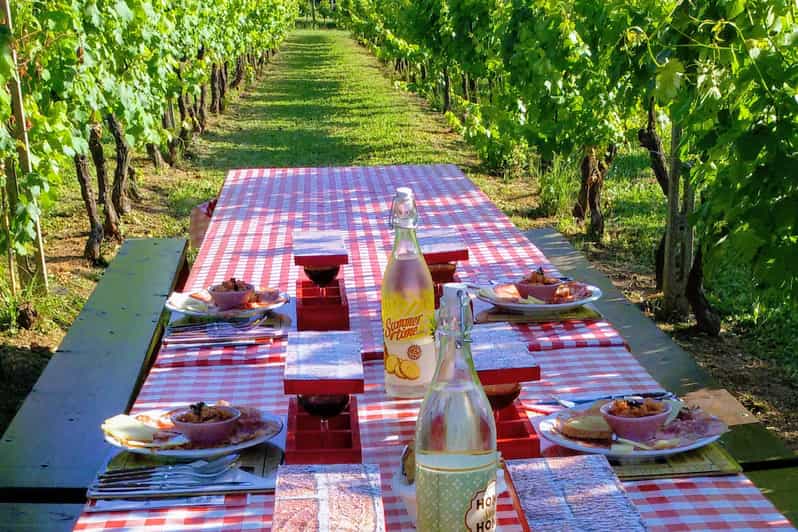 Lucca Guided EBike and Wine Tour GetYourGuide