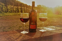Lucca, geführte E-Bike und Weintour - Hizvo