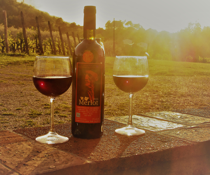 Lucca: Guided E-Bike and Wine Tour