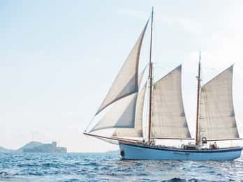 Marseille: Calanques National Park Sailing Cruise with Lunch