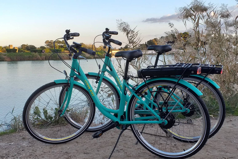 Cartago: passeio guiado de bicicleta pelo sítio arqueológicoTour guiado particular de bicicleta