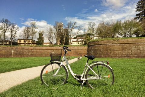 Lucca: 3-Hour or 24-Hour Bike Rental