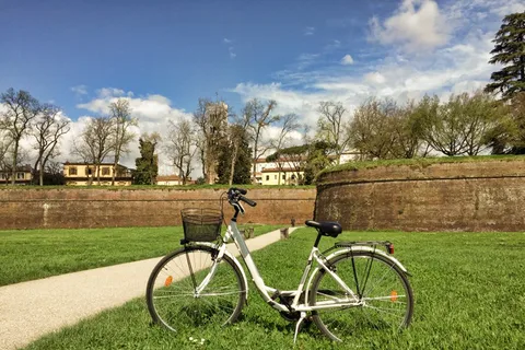 Lucca: City Bike One-Day Rental
