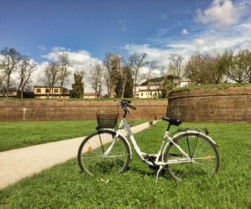 Lucca: City Bike One-Day Rental