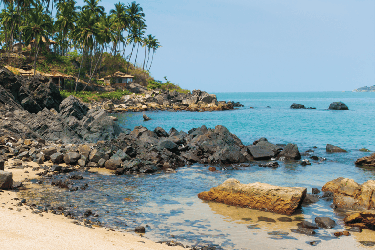 Visite matinale des plages de Goa à vélo avec petit-déjeuner