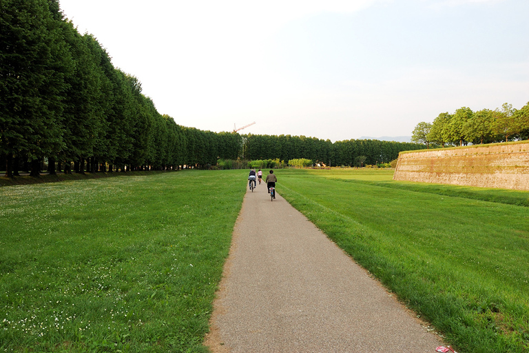 From Lucca to Pisa: Self-Guided Bike TourTour with Trekking Bike