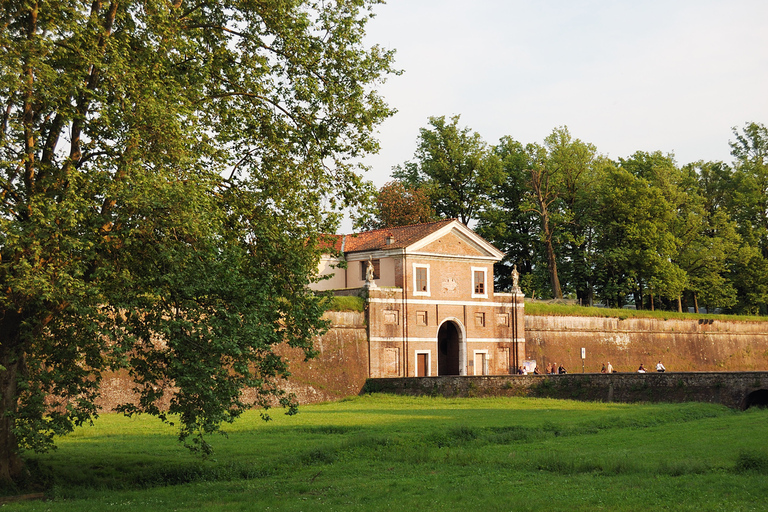 From Lucca to Pisa: Self-Guided Bike TourTour with Trekking Bike