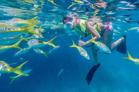 Key West: All Day Eco Tour - Kayak, snorkel and sail!