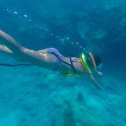Key West: 3 ore di snorkeling nella barriera corallina