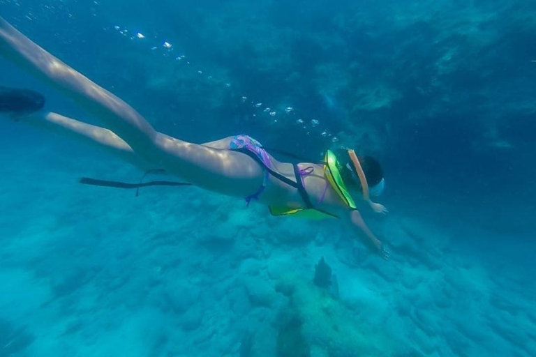 Key West: plongée en apnée dans les récifs coralliens de 3 heuresSnorkel l'après-midi