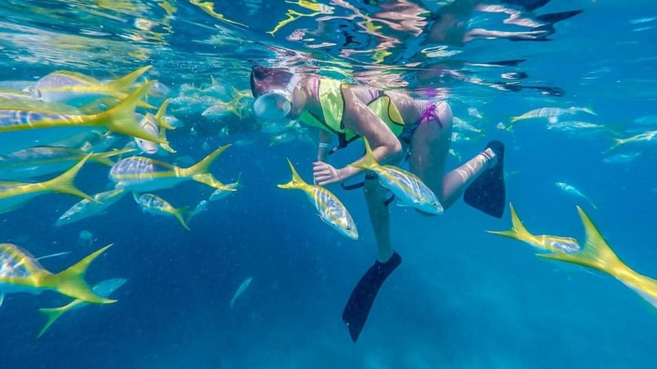 Key West: 3-Hour Coral Reef Snorkeling 