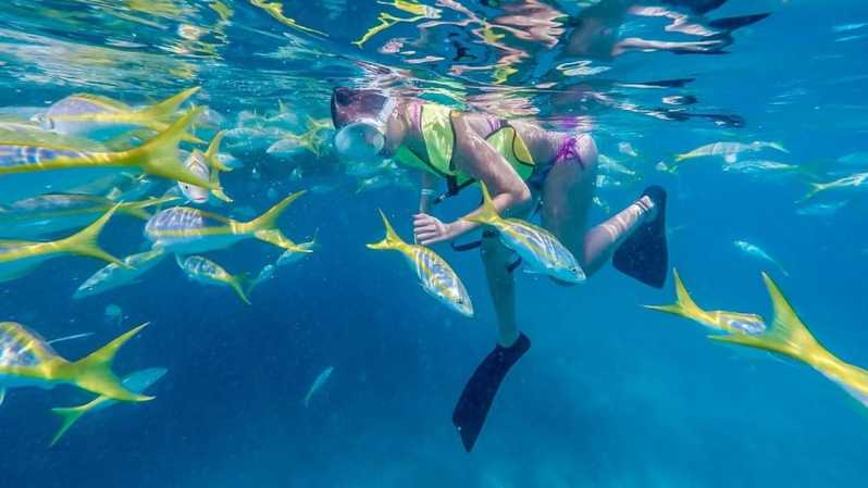 Key West: snorkelen bij koraalriffen van 3 uur