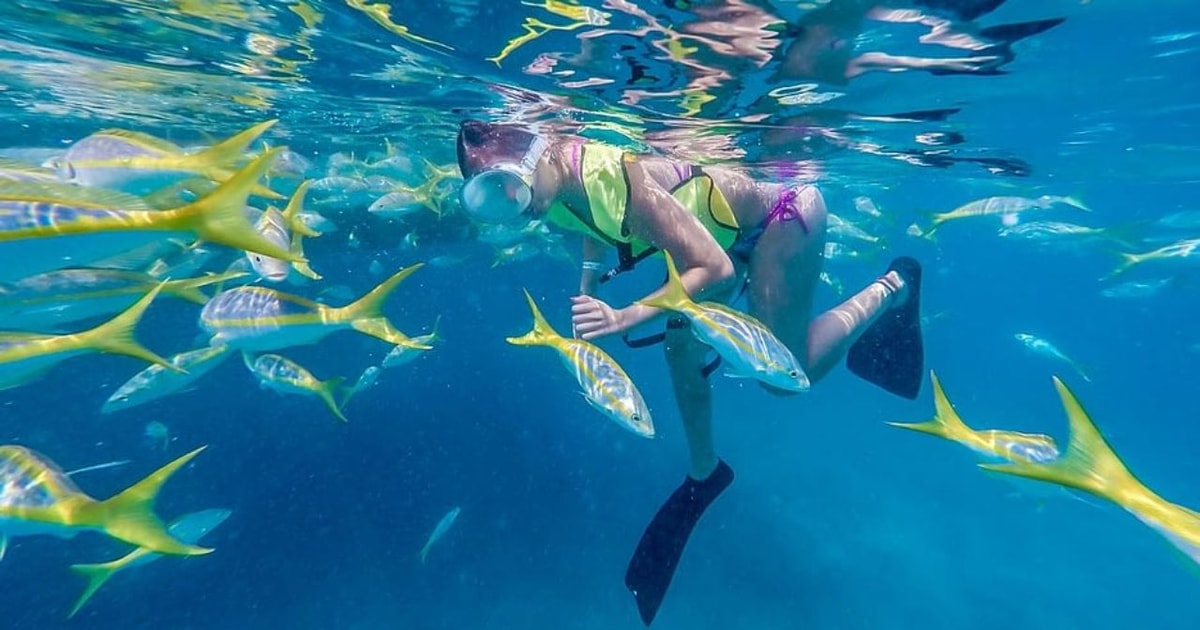 Key West snorkelen bij koraalriffen van 3 uur GetYourGuide