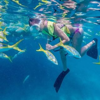 Key West: snorkel en los arrecifes de coral de 3 horas