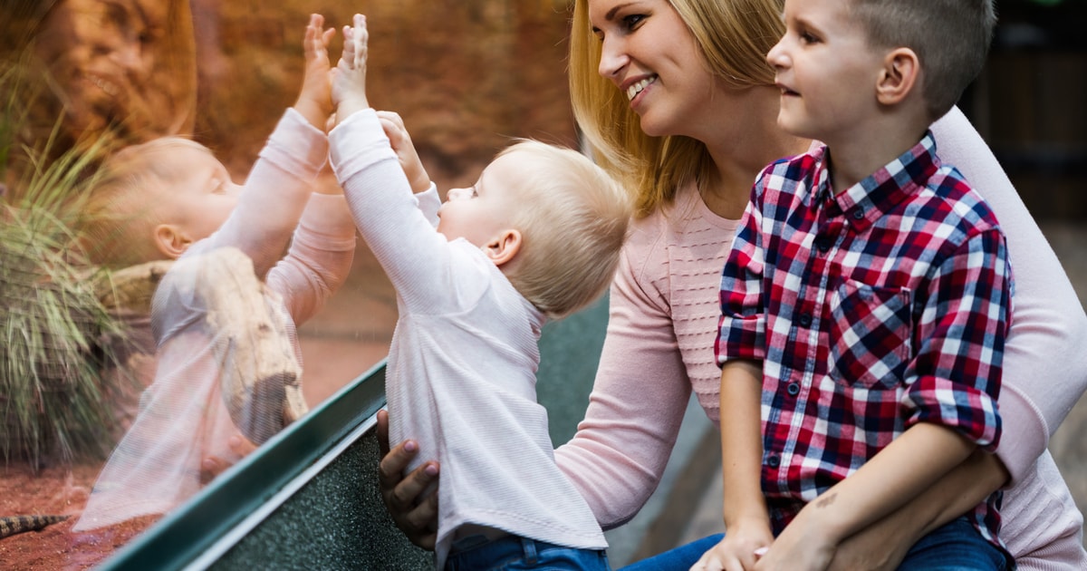 Breslau Zoo mit privatem Transport und Tickets GetYourGuide