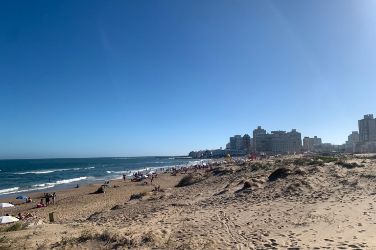 Z Montevideo: Całodniowa wycieczka do Punta del EstePunta del Este Day Tour z obiadem