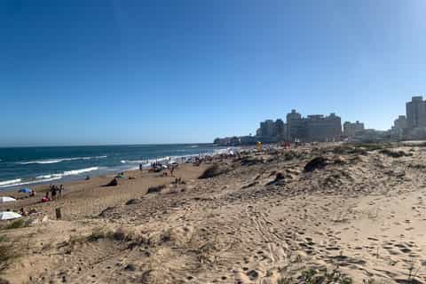 Desde Montevideo: tour guiado de un día de Punta del Este
