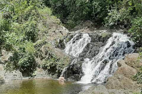 Chagres National Park Hike and Embera Village Tour