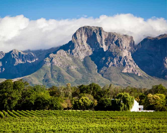 Cape Town Stellenbosch Wine Tour with Tastings GetYourGuide