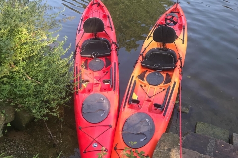 Heidelberg : Excursion de 2 heures en kayak