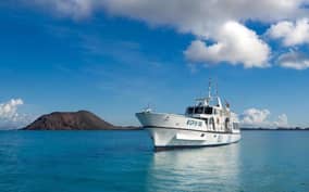 - Canarie.it