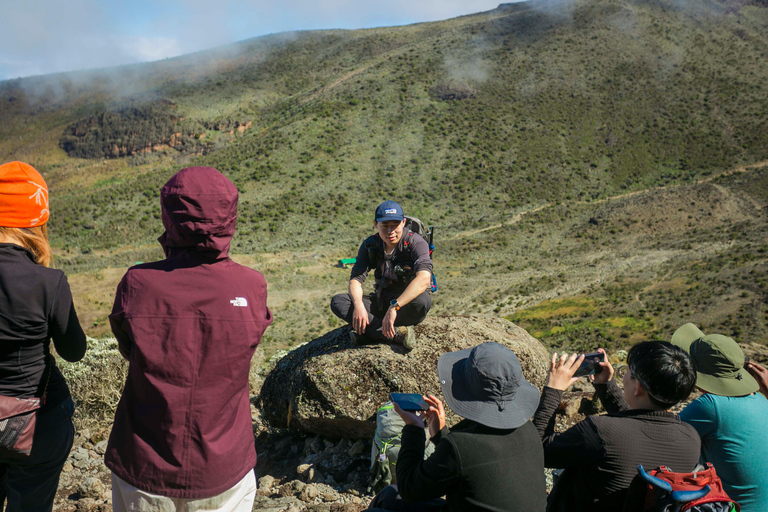 7 Días Kilimanjaro Lemosho Trek