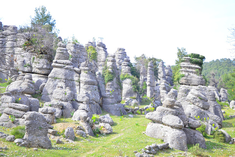 塔齐峡谷、阿凡达乐园和塞尔格古城之旅