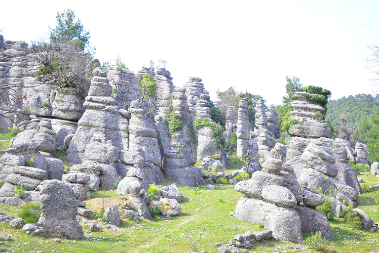 塔齐峡谷、阿凡达乐园和塞尔格古城之旅