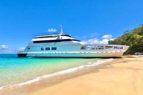 From Brisbane or Gold Coast: Moreton Island Full-Day Trip