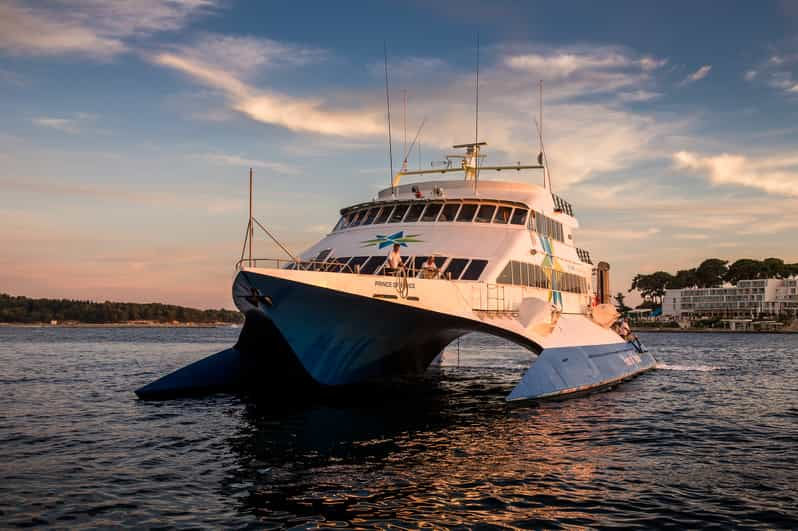 motorboot chartern in pula