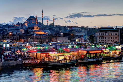 Istanbul: croisière d'une journée sur le Bosphore en petit groupe avec déjeuner