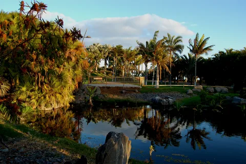 Santa Cruz de Tenerife Palmetum Entry Ticket