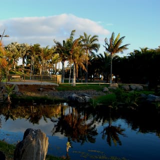 Santa Cruz de Tenerife: bilet wstępu do ogrodu Palmetum