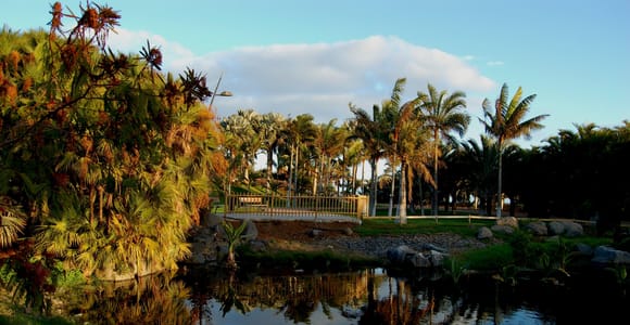 Santa Cruz de Tenerife Palmetum Entry Ticket