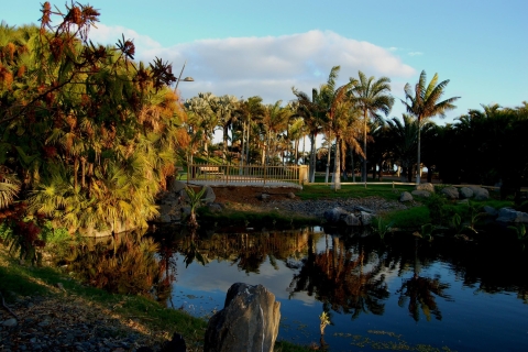 Santa Cruz de Tenerife: toegangsticket Palmetum
