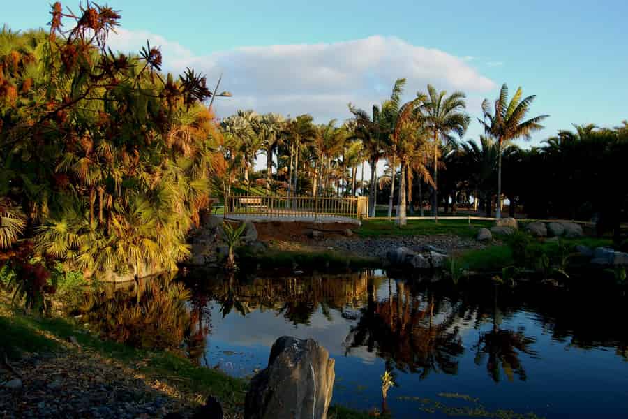 Santa Cruz de Tenerife Palmetum Entry Ticket. Foto: GetYourGuide