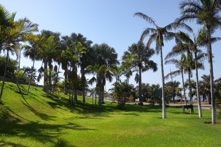 Santa Cruz de Tenerife: Entrada Palmetum