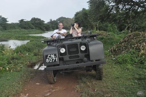 Colombo: City & Attidiya Bird Sanctuary Tour by WWII Jeep With pickup from Colombo Hotel
