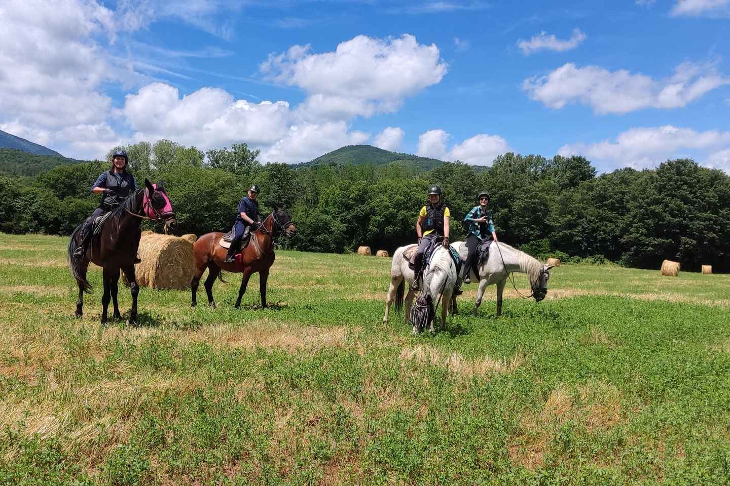 Half-day horseback riding day trip in Tuscany for beginners