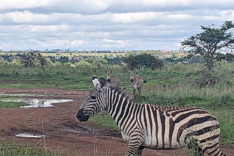 Nairobi National Park Full or Half-Day Tour with Guide Nairobi National Park Half-Day Tour with Guide