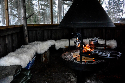 Helsinki: Arctische Hovercraft ervaring met lunchHelsinki: Arctic Hovercraft-ervaring met lunch