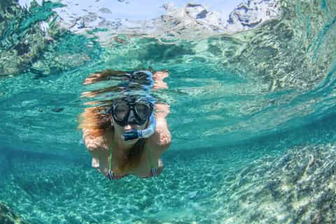 Tenerife: Dolphin and Whale Eco-Cruise with Food & Drinks