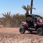 Buggy Marrakech Desert and Palmerie